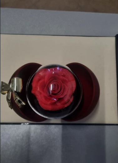 Sieradendoos met rode roos